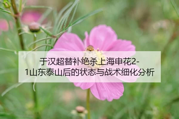 yu-han-chao-ti-bu-jue-sha-shang-hai-shen-hua-shan-dong-tai-shan-hou-de-zhuang-tai-yu-zhan-shu-xi-hua-fen-xi-2-912.jpg